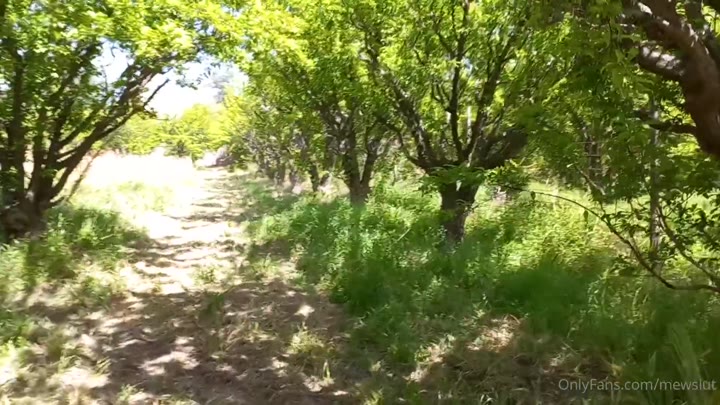 mewslut free videos