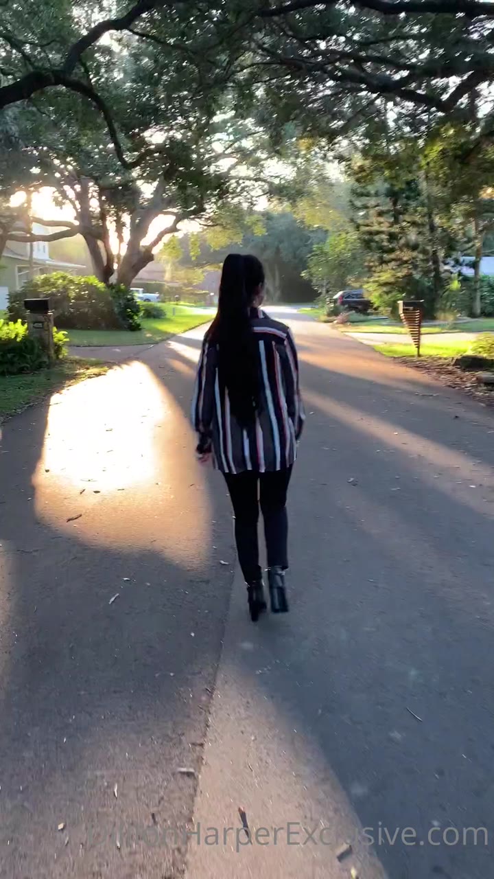 dillion harper stockings
