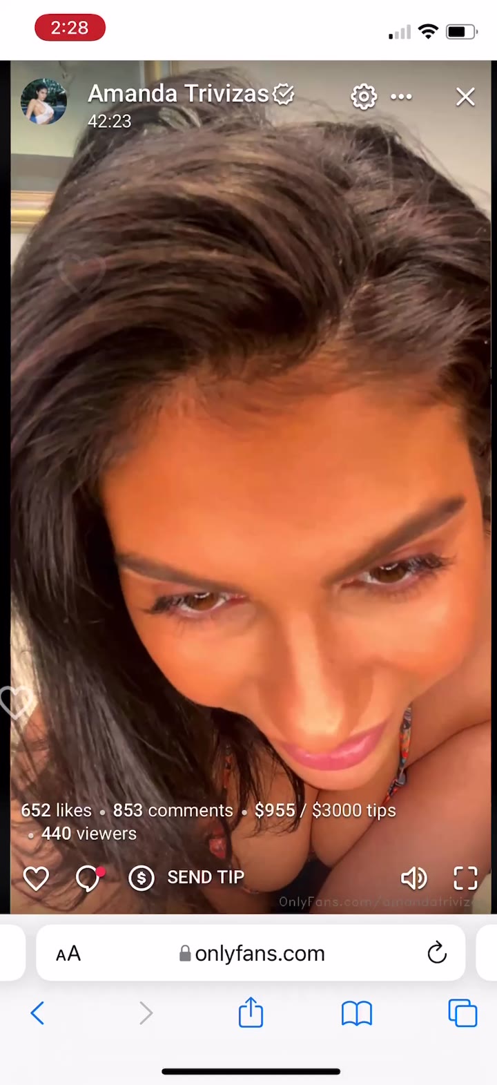 amanda trivizas lesbian