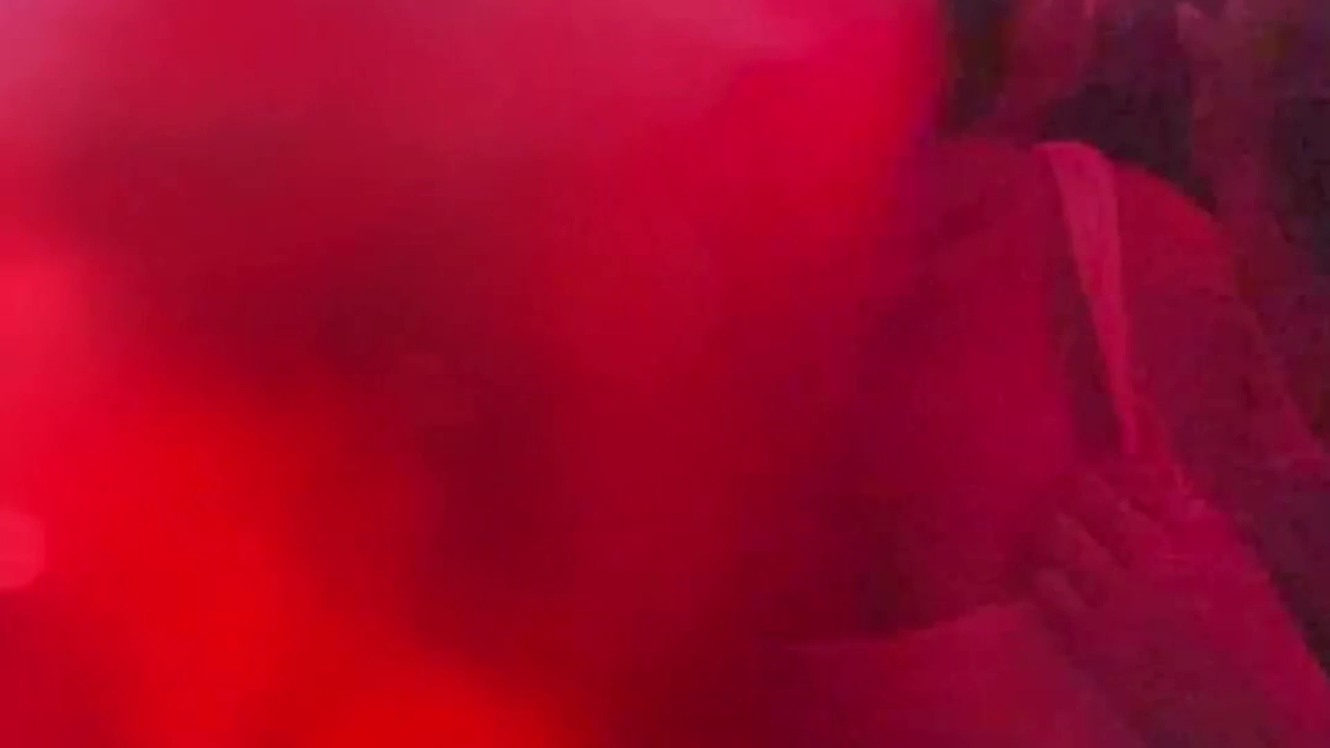 bitch sexy onlyfans Serena Becker onlyfans nudes PRIVATE