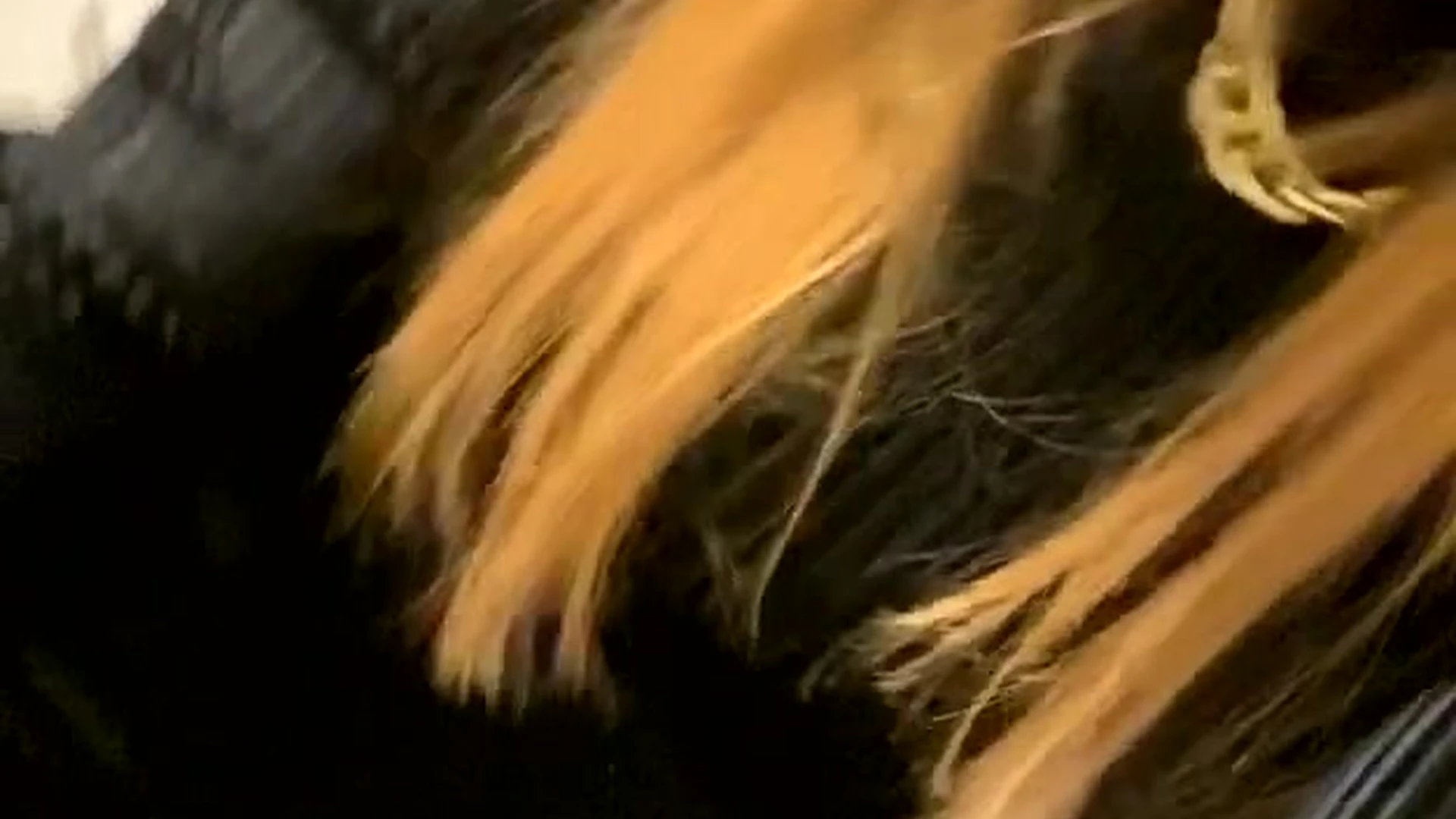 cute teen Sanguinar Nude onlyfans Exclusive vid full