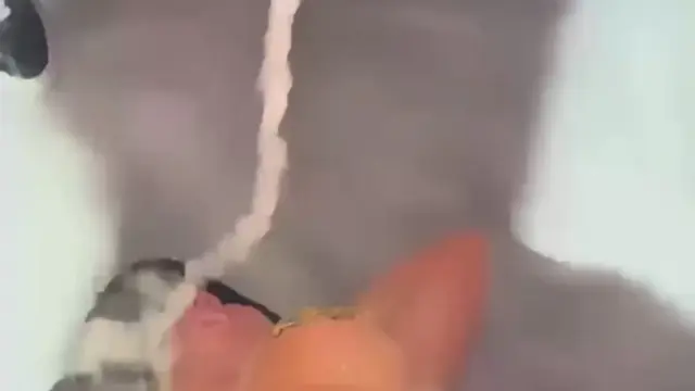 pornstar Danae Mari leaked nudes x