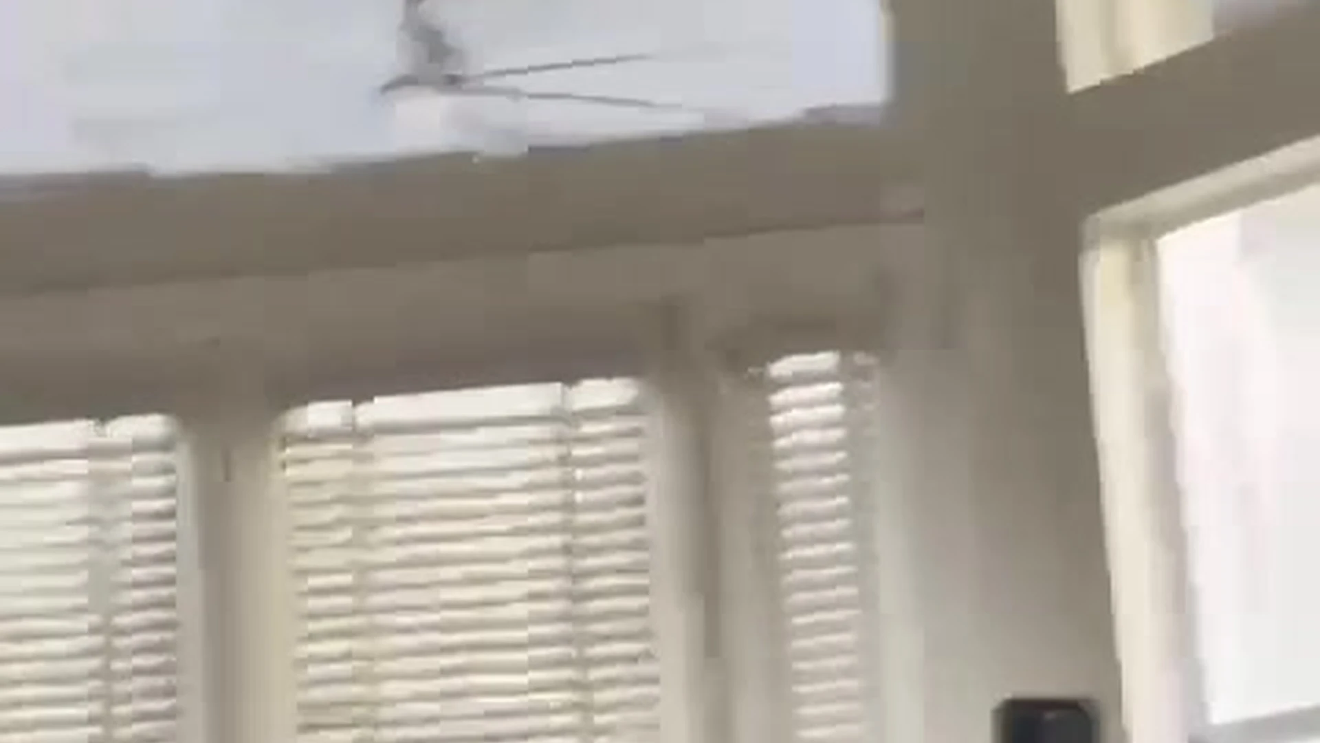 egirl Sweating dark hair Amber Quinn nude ass
