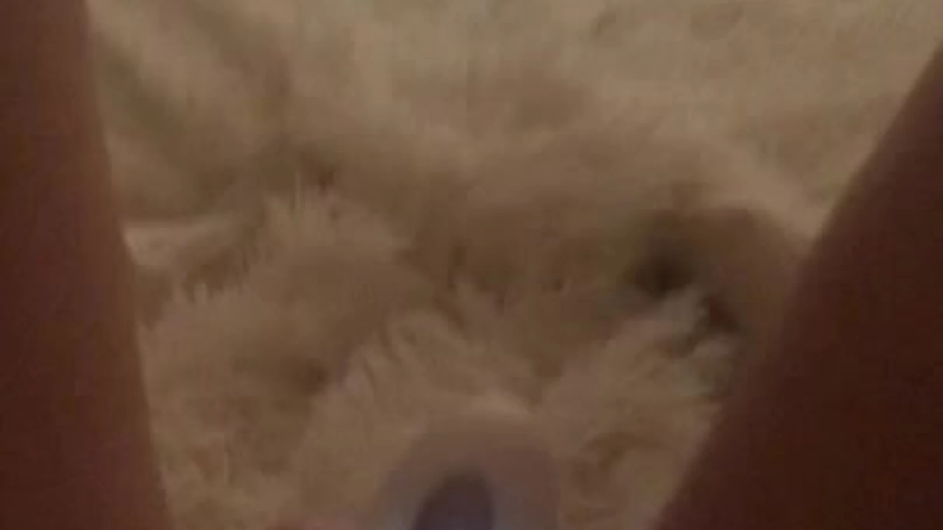 cumslut creamy Ivanka Peach Fansly leaks Full Video Leaked
