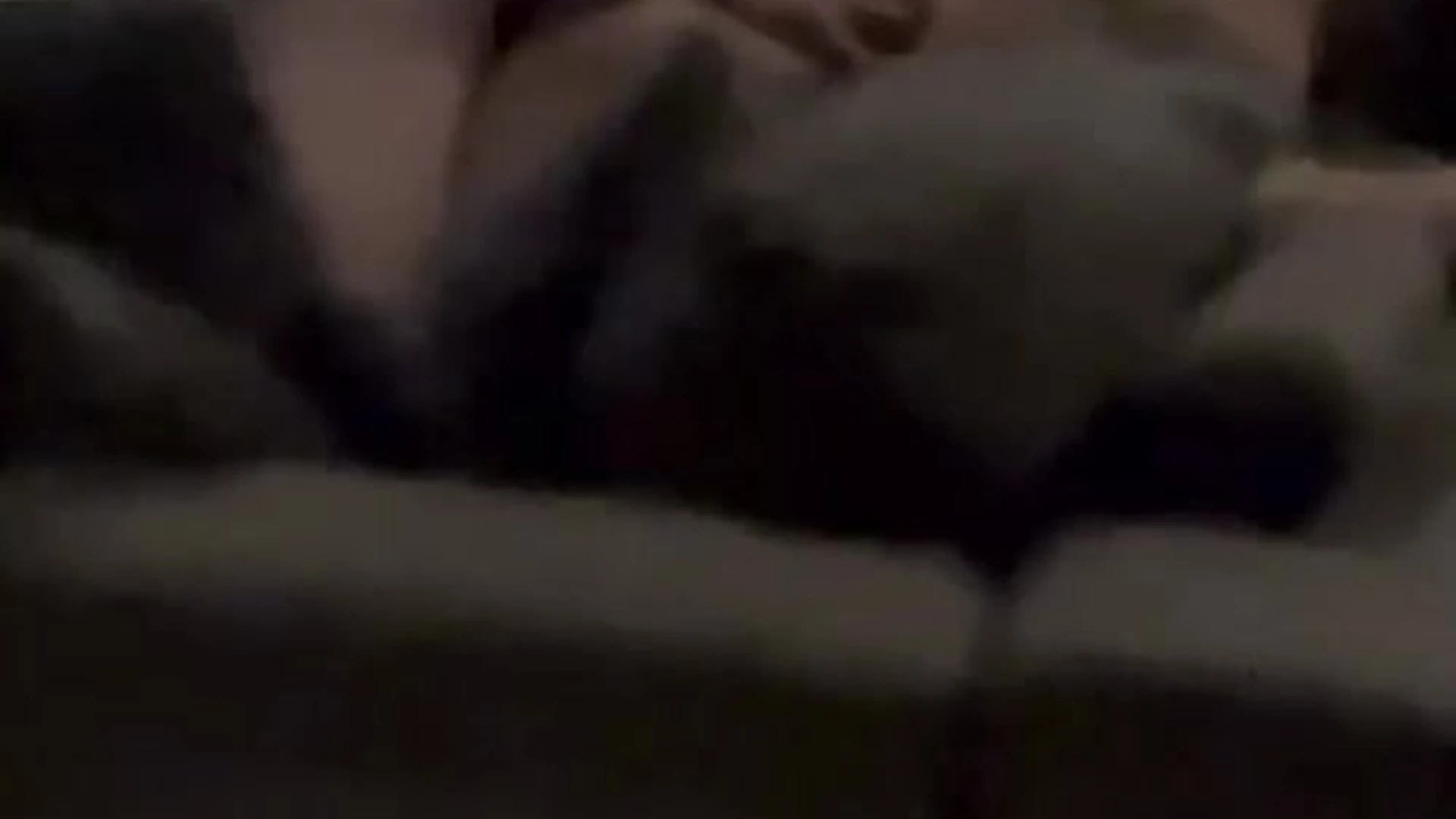 Big Ass Lily Adrianne Porn video full