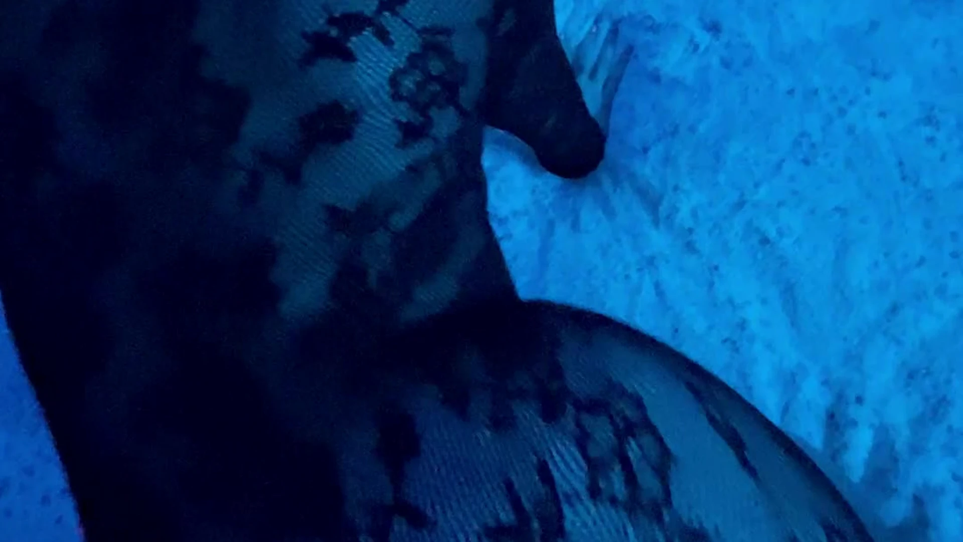 Exposed Moroccan WoeAlexandra porn xxx