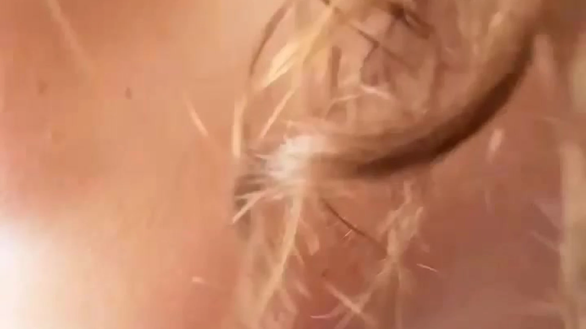 cute sucking Slut LupuWellness camgirl