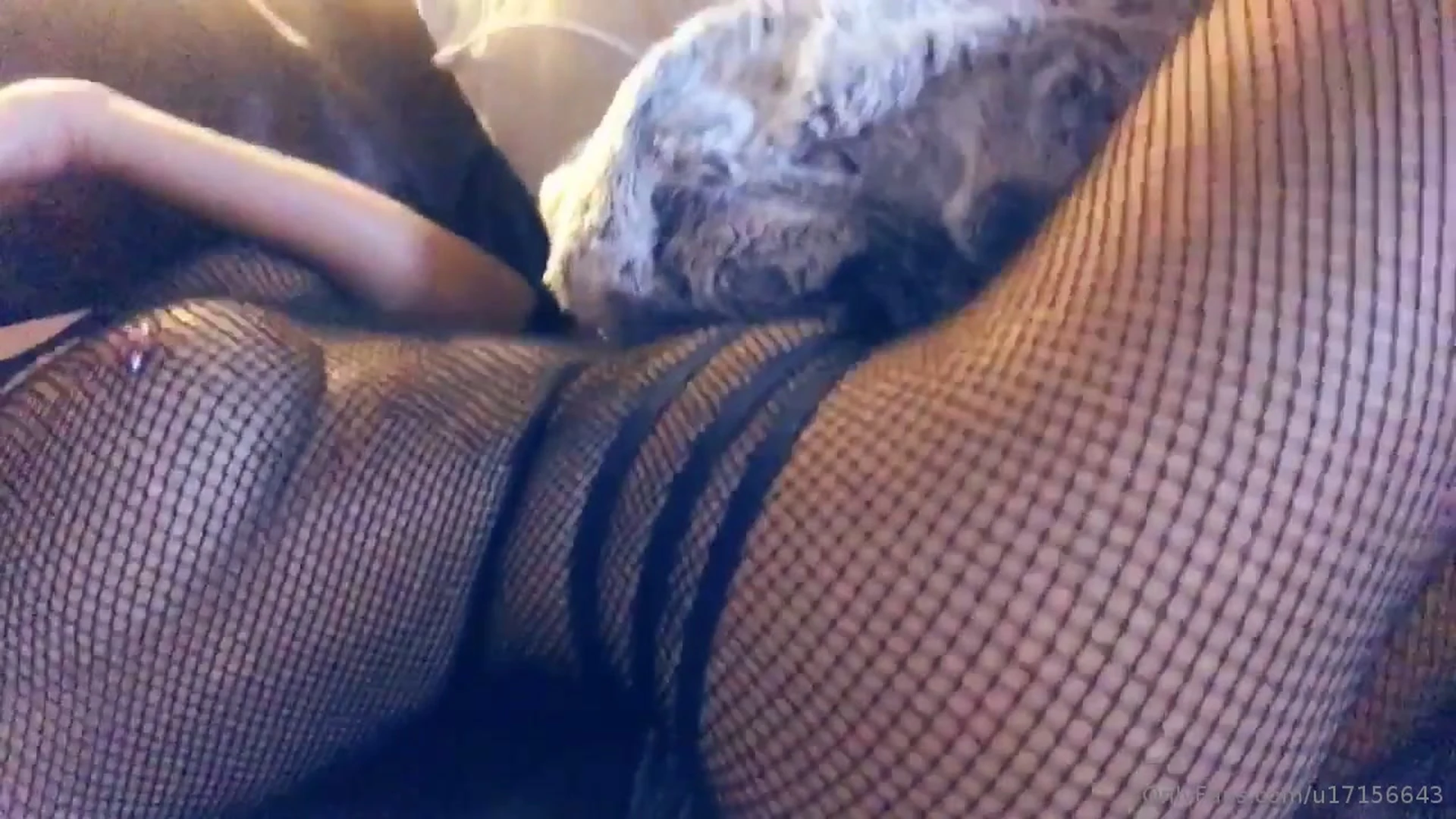 Magnetic  Fuck Face Frances Bentley nude Vid Epic